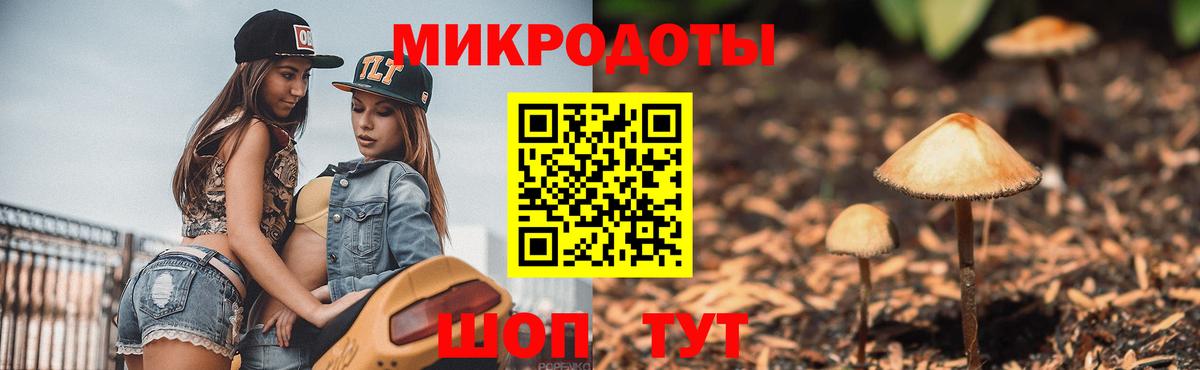 Галлюциногенные грибы ЛСД  продажа наркотиков  Баксан  Вход с VPN 